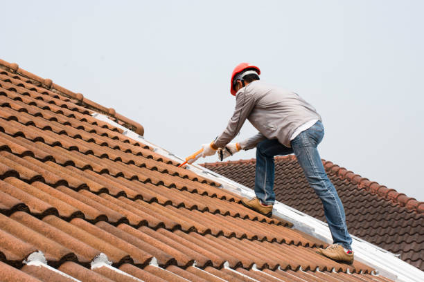 Best Roof Coating and Sealing  in Santa Rosa, TX